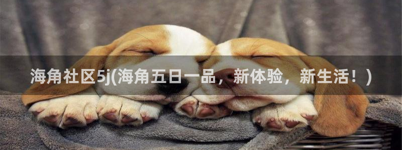 海角社区是干嘛的：海角社区5j(海角五日一品，新体验，新生活！)