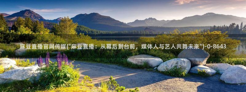麻豆视频分类目录
