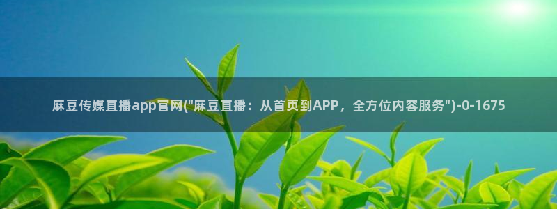 麻豆视频搜索