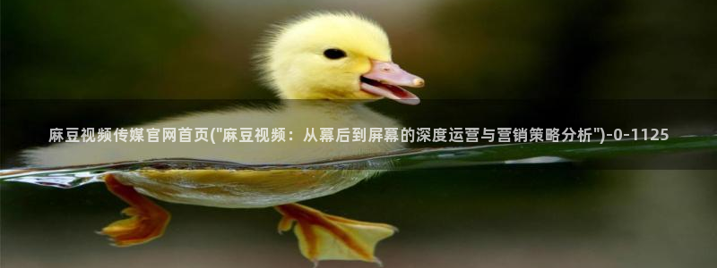 麻豆内容页