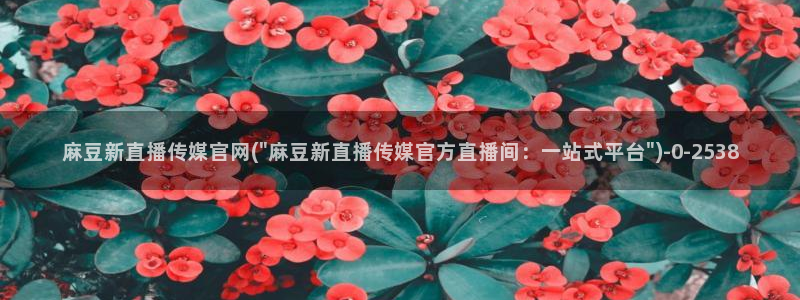 麻豆指南页
