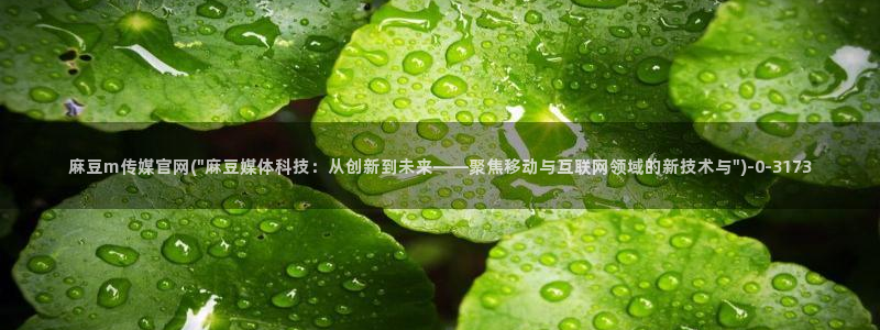 麻豆视频栏目规划