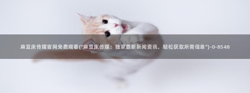 麻豆免费视频观看