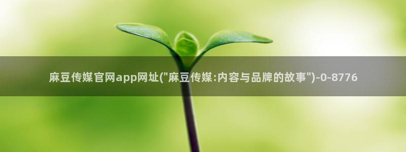 麻豆视频分类