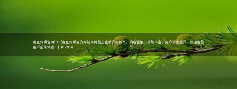 麻豆视频内容维护