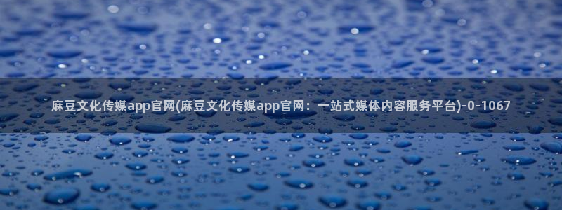 麻豆精品内容