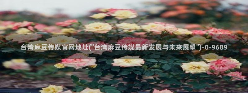 麻豆系列视频：台湾麻豆传媒官网地址(\