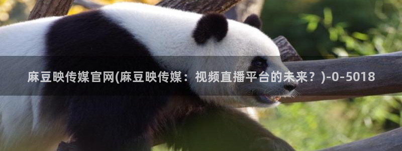 麻豆视频投稿交流