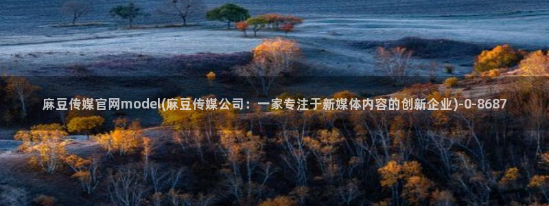 麻豆视频合作联系