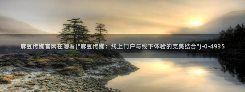 麻豆高口碑视频