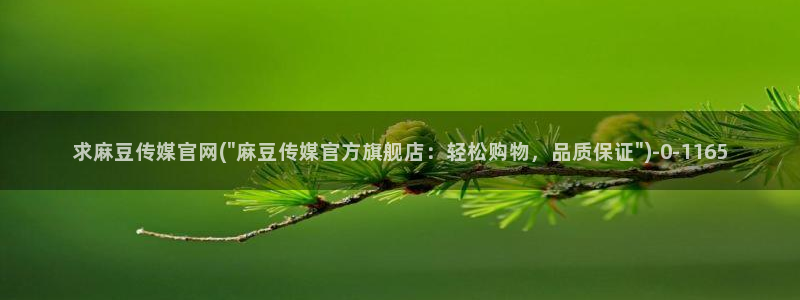 麻豆视频站：求麻豆传媒官网(\