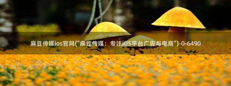 麻豆视频资源站文案：麻豆传媒ios官网(\