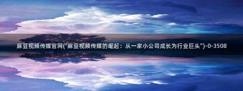 麻豆视频分类规则