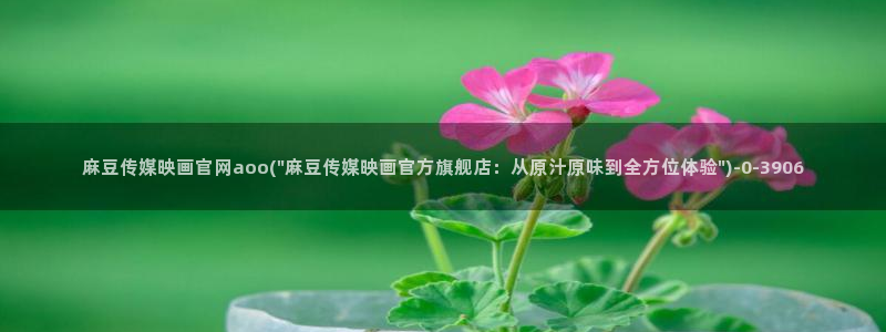 麻豆视频分类规则