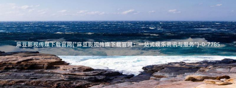 麻豆专题标题
