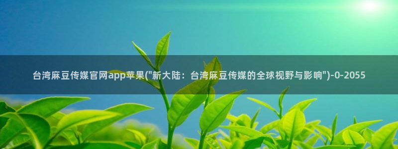 麻豆视频点评