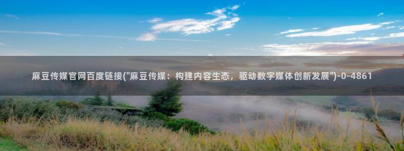 麻豆视频标题规则