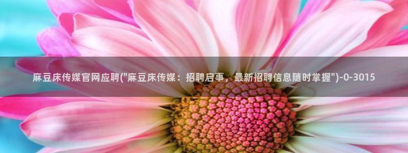 麻豆自定义库