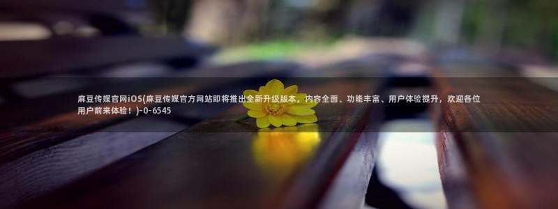 麻豆传媒新片