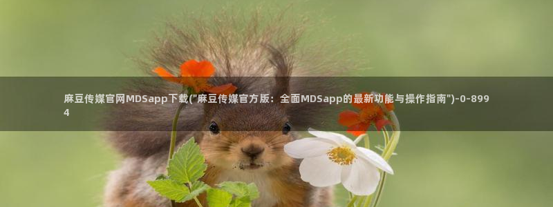 麻豆视频在线