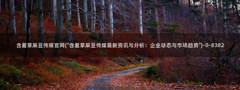 麻豆资讯描述