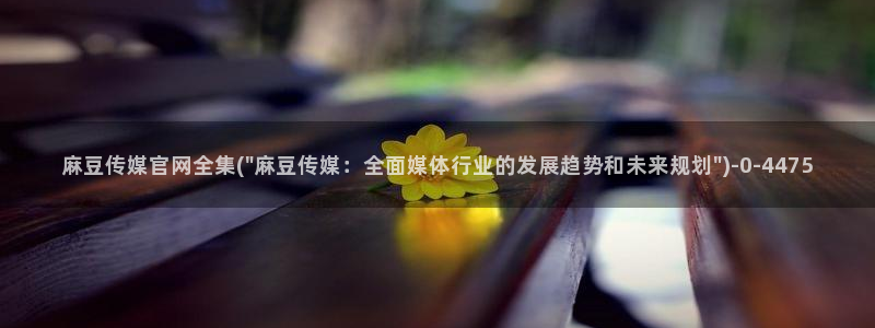 麻豆视频内容聚合