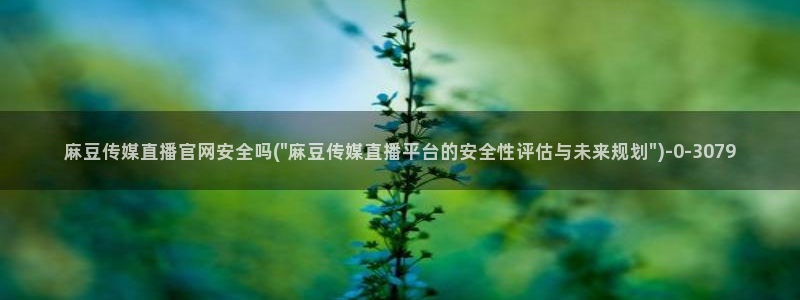 麻豆视频大全