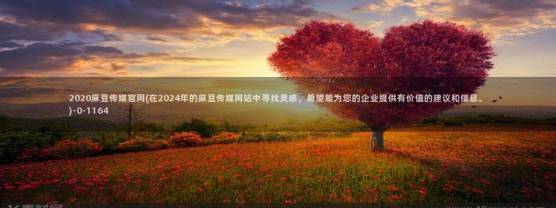 麻豆演员描述
