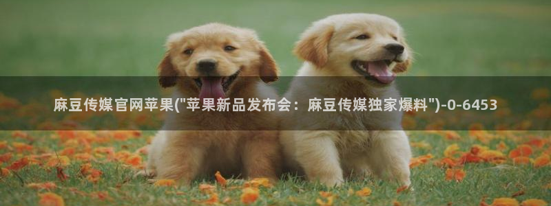 麻豆视频关键词