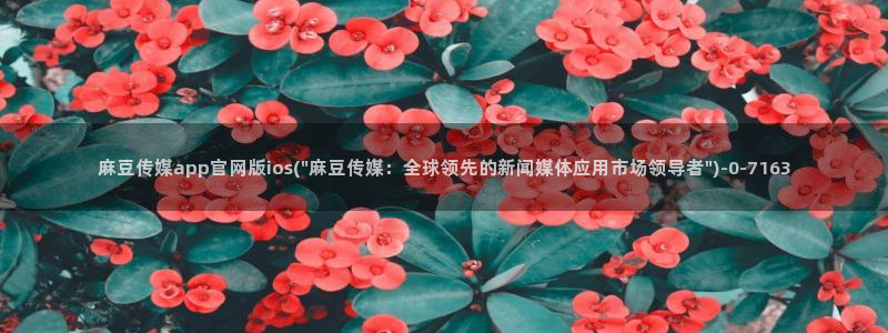 麻豆指南页