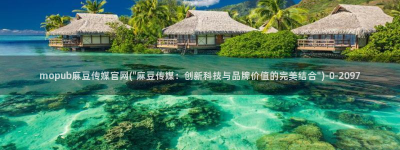 麻豆视频标签