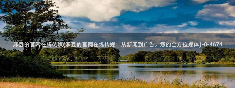 麻豆视频指南文案