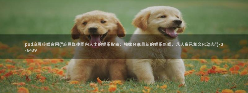 麻豆资源站模板