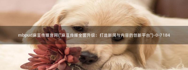 麻豆视频文章标题