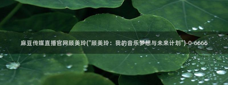 麻豆视频文章标题