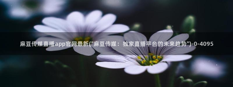 麻豆演员资料