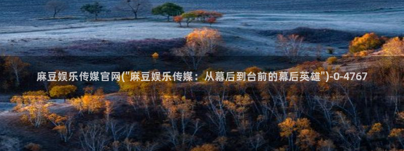 麻豆视频SEO词库