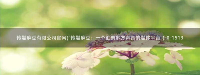 麻豆视频