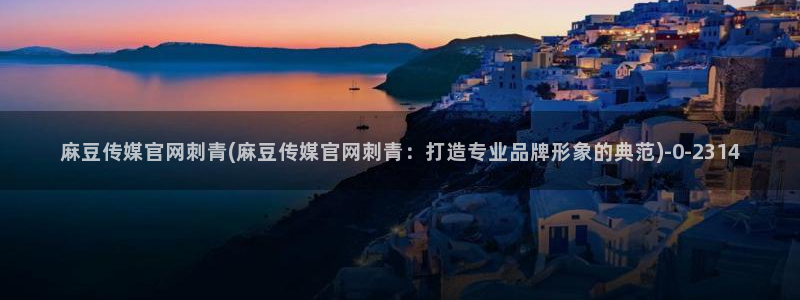 麻豆描述库