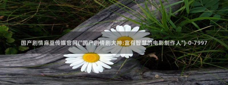 麻豆专题页