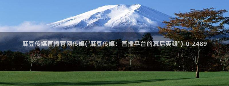 麻豆传媒演员