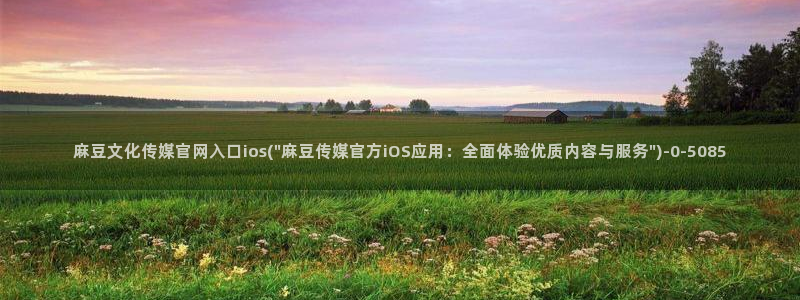 麻豆观看标题