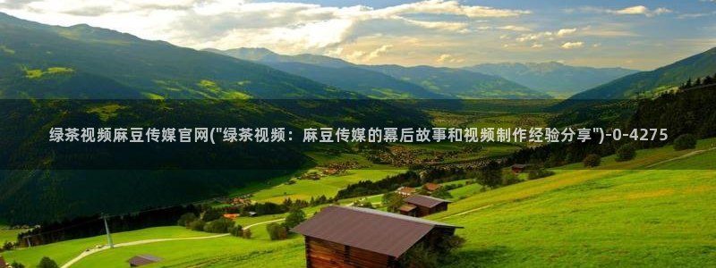麻豆视频资讯文案