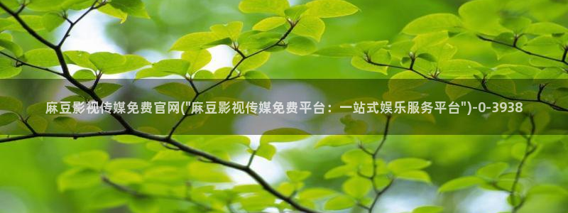 麻豆视频收藏