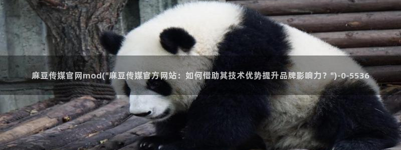 麻豆情感剧情