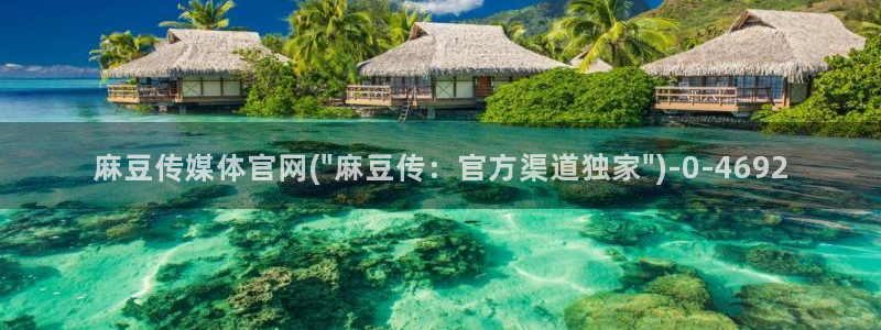 麻豆视频采集