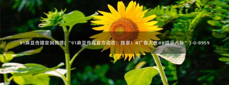 麻豆视频分类